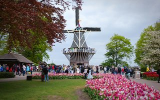 Afbeelding Keukenhof