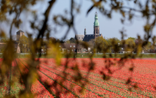 Lente Lisse