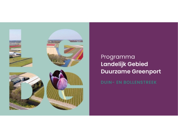 LGDG nieuwsbericht 
