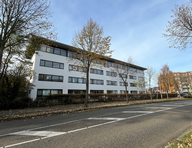 Witte Zwaan Witte Zwaan