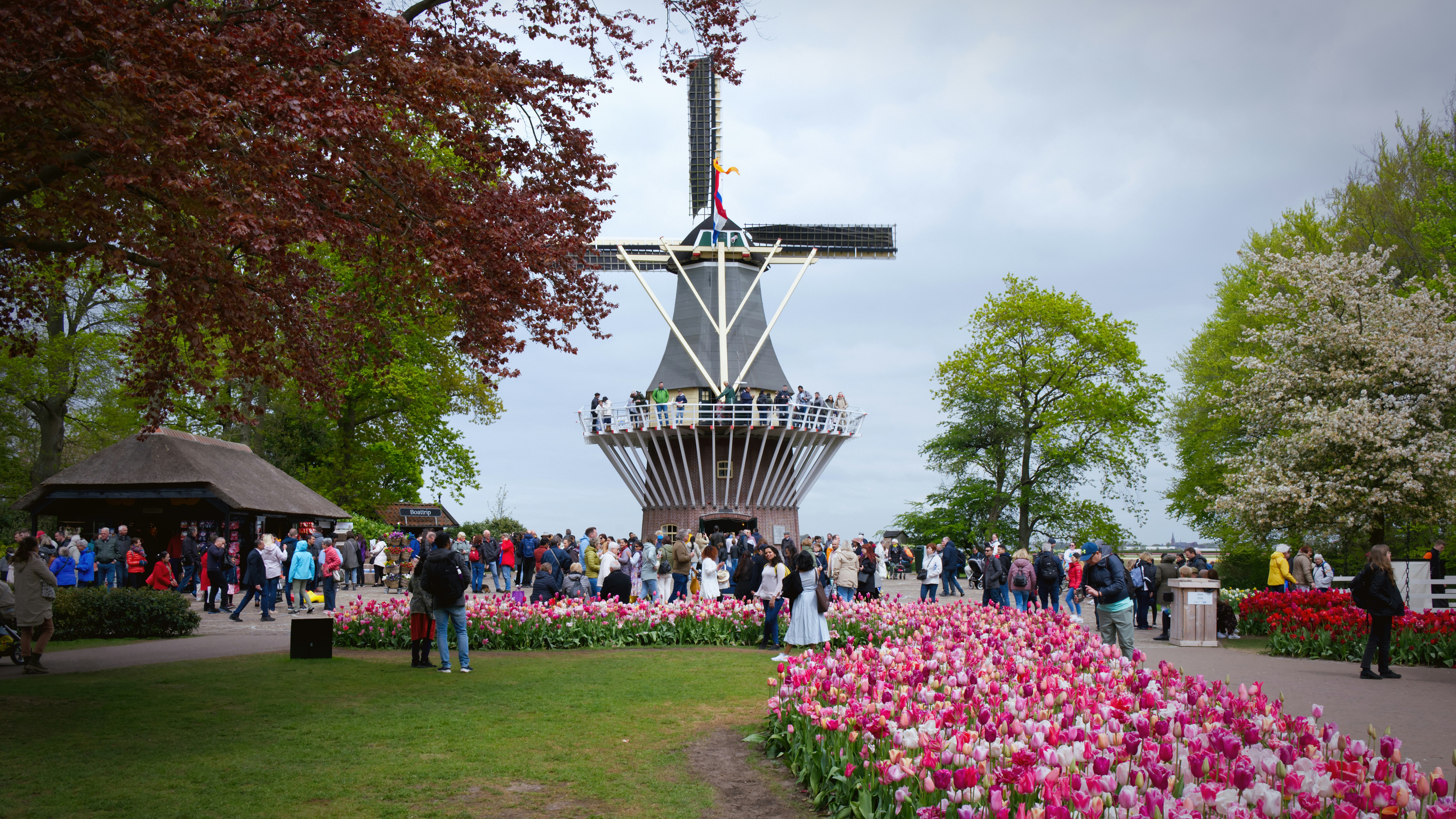 Afbeelding Keukenhof